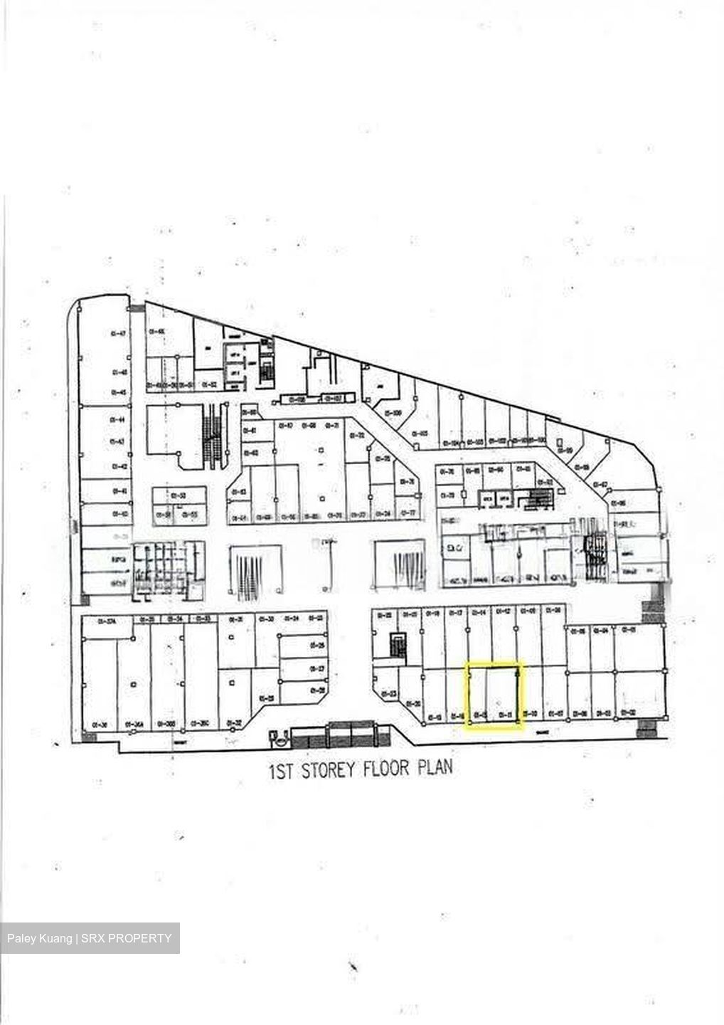 Lucky Plaza (D9), Shop House #619938181